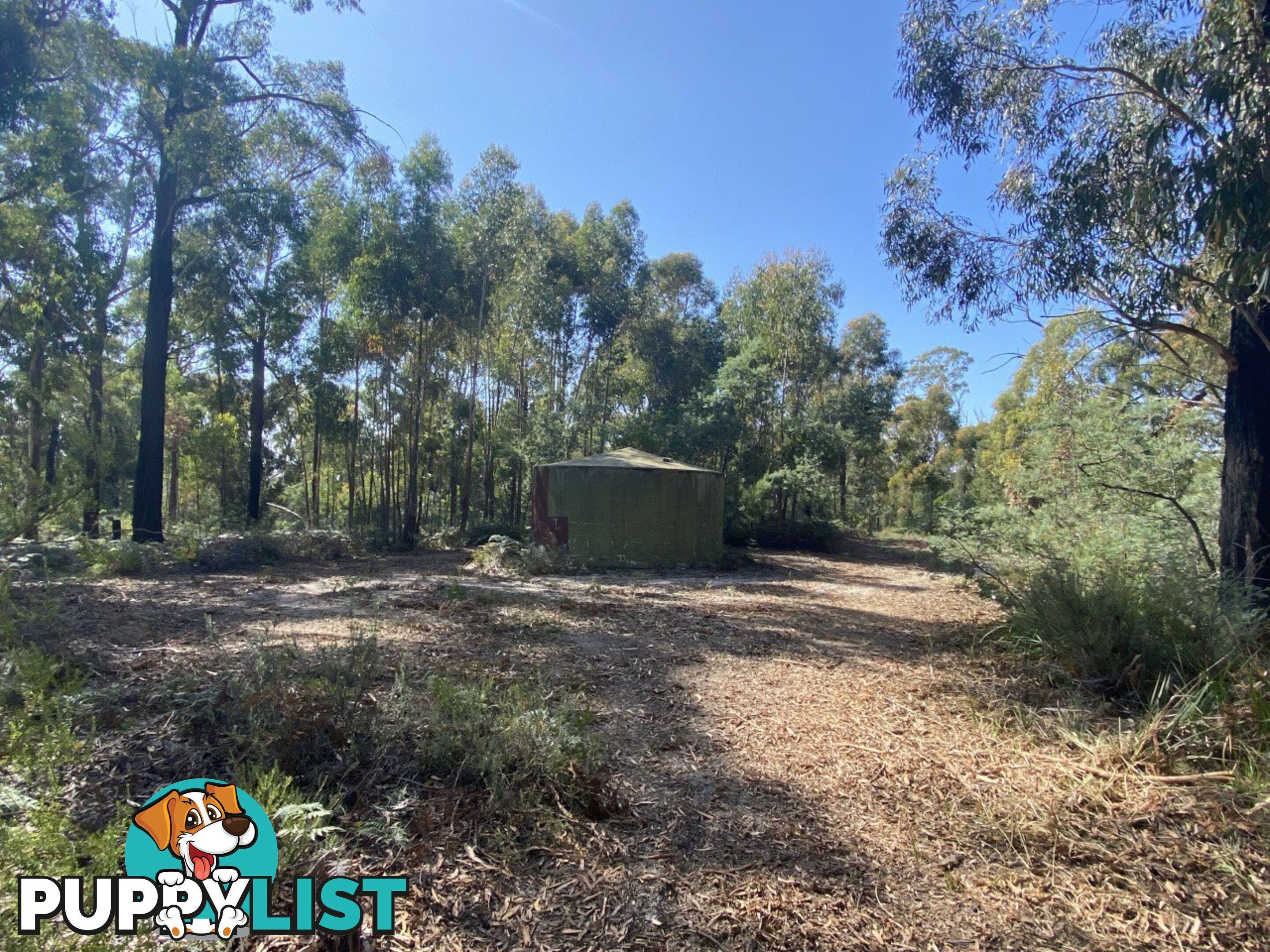 26754/5 Tasman Highway SCAMANDER TAS 7215