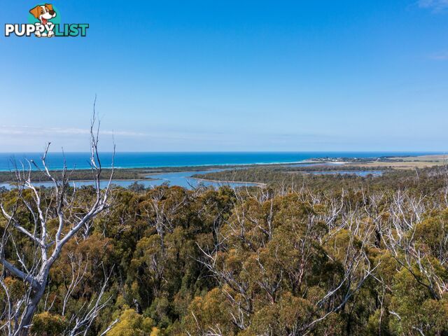 26754/5 Tasman Highway SCAMANDER TAS 7215