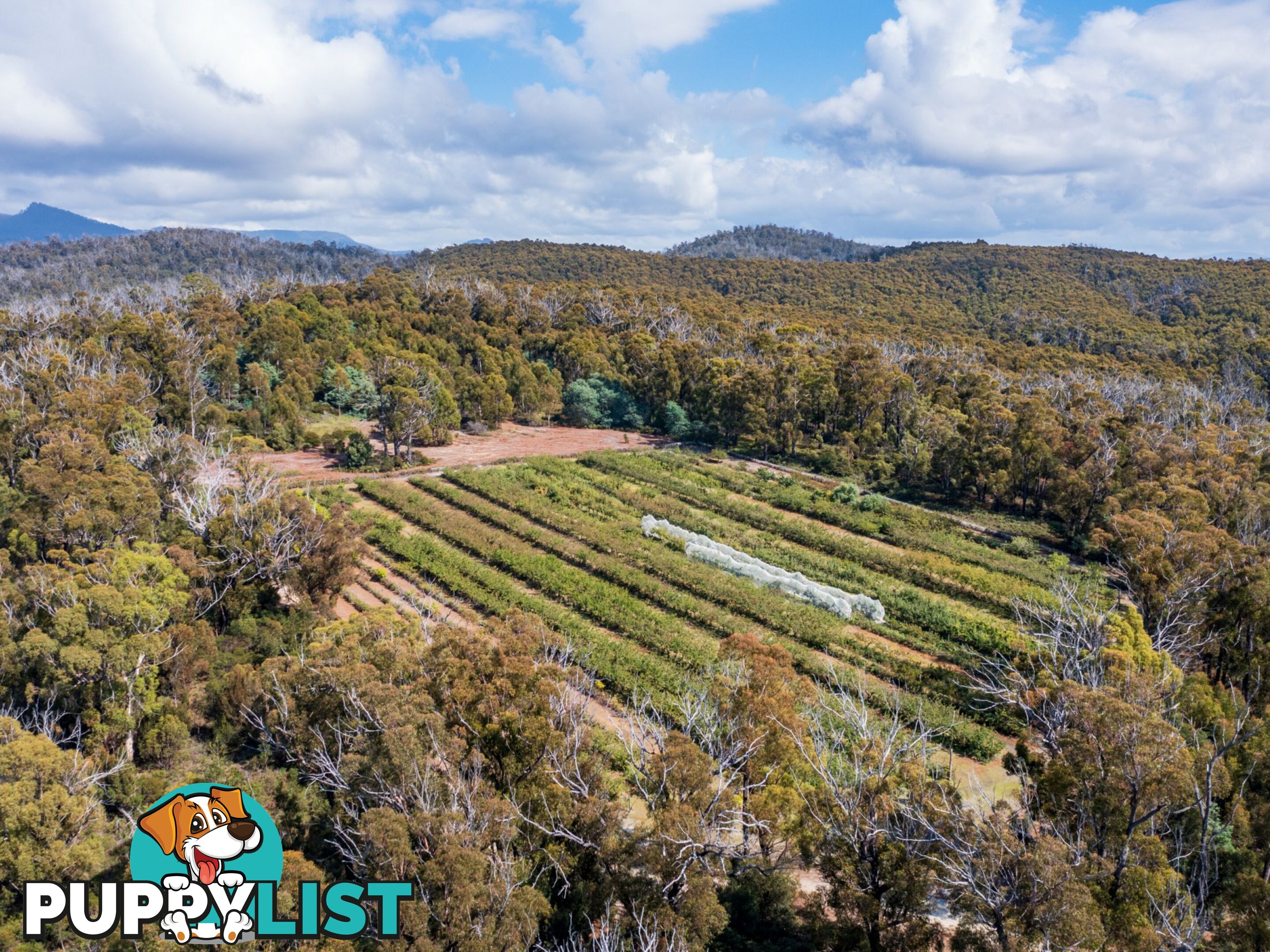 26754/5 Tasman Highway SCAMANDER TAS 7215
