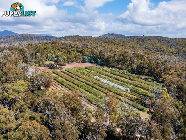 26754/5 Tasman Highway SCAMANDER TAS 7215