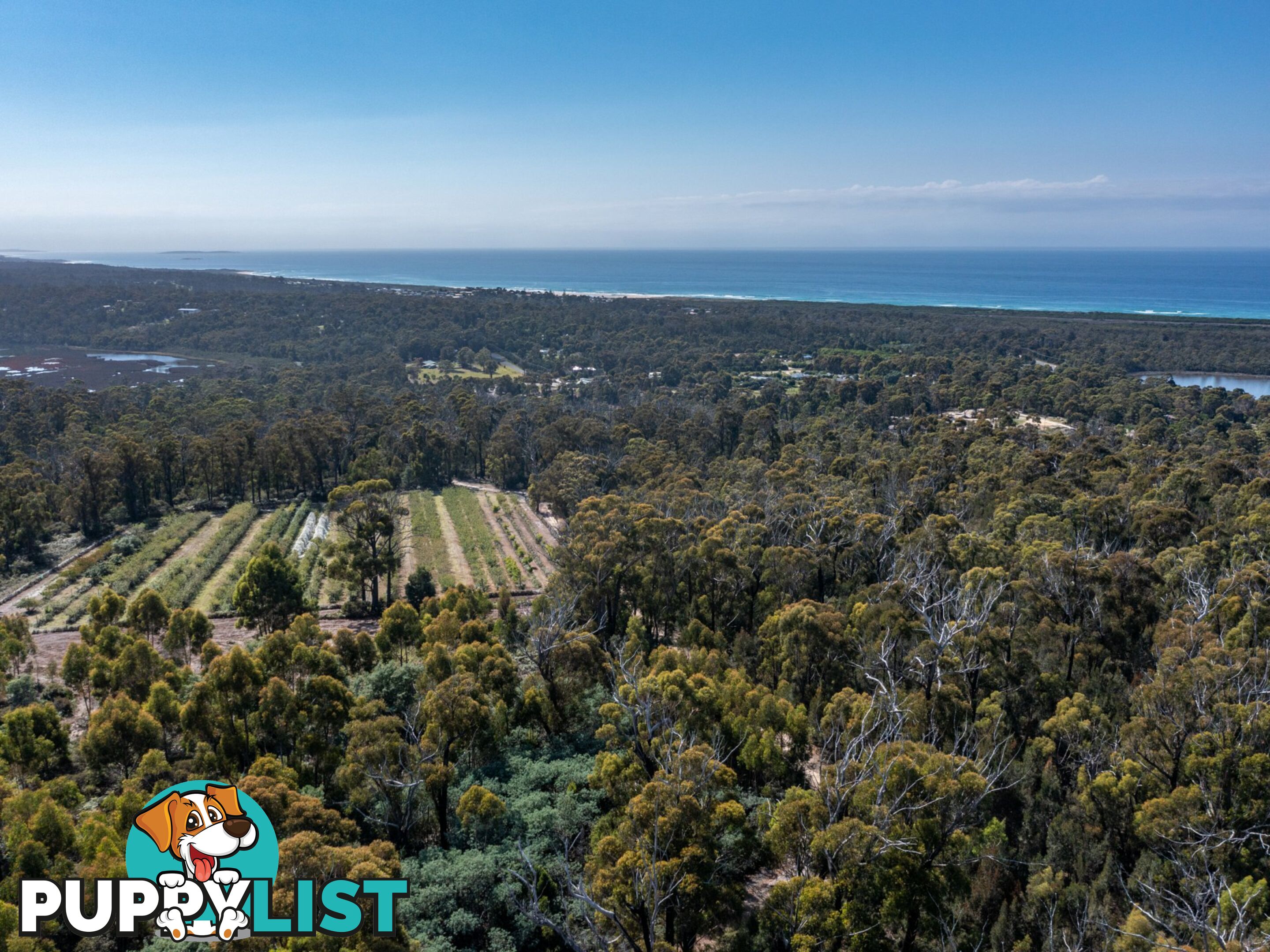 26754/5 Tasman Highway SCAMANDER TAS 7215