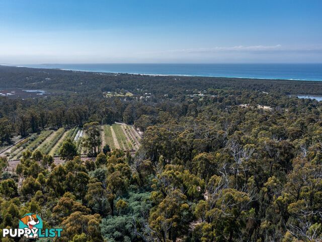 26754/5 Tasman Highway SCAMANDER TAS 7215