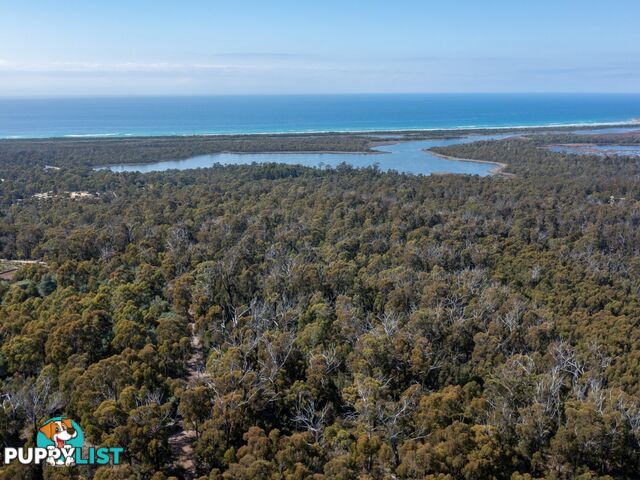 26754/5 Tasman Highway SCAMANDER TAS 7215
