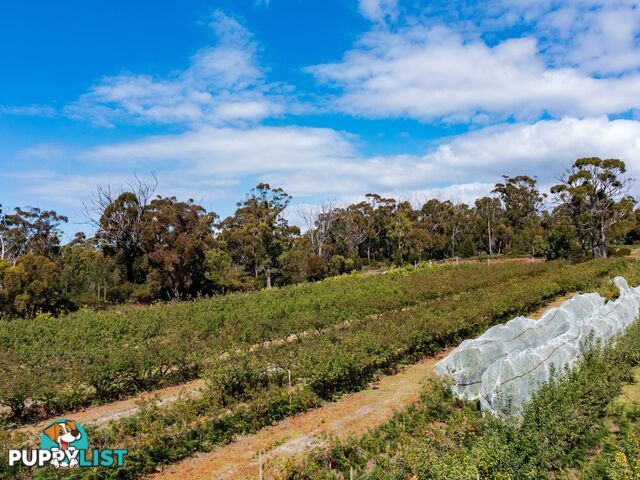 26754/5 Tasman Highway SCAMANDER TAS 7215
