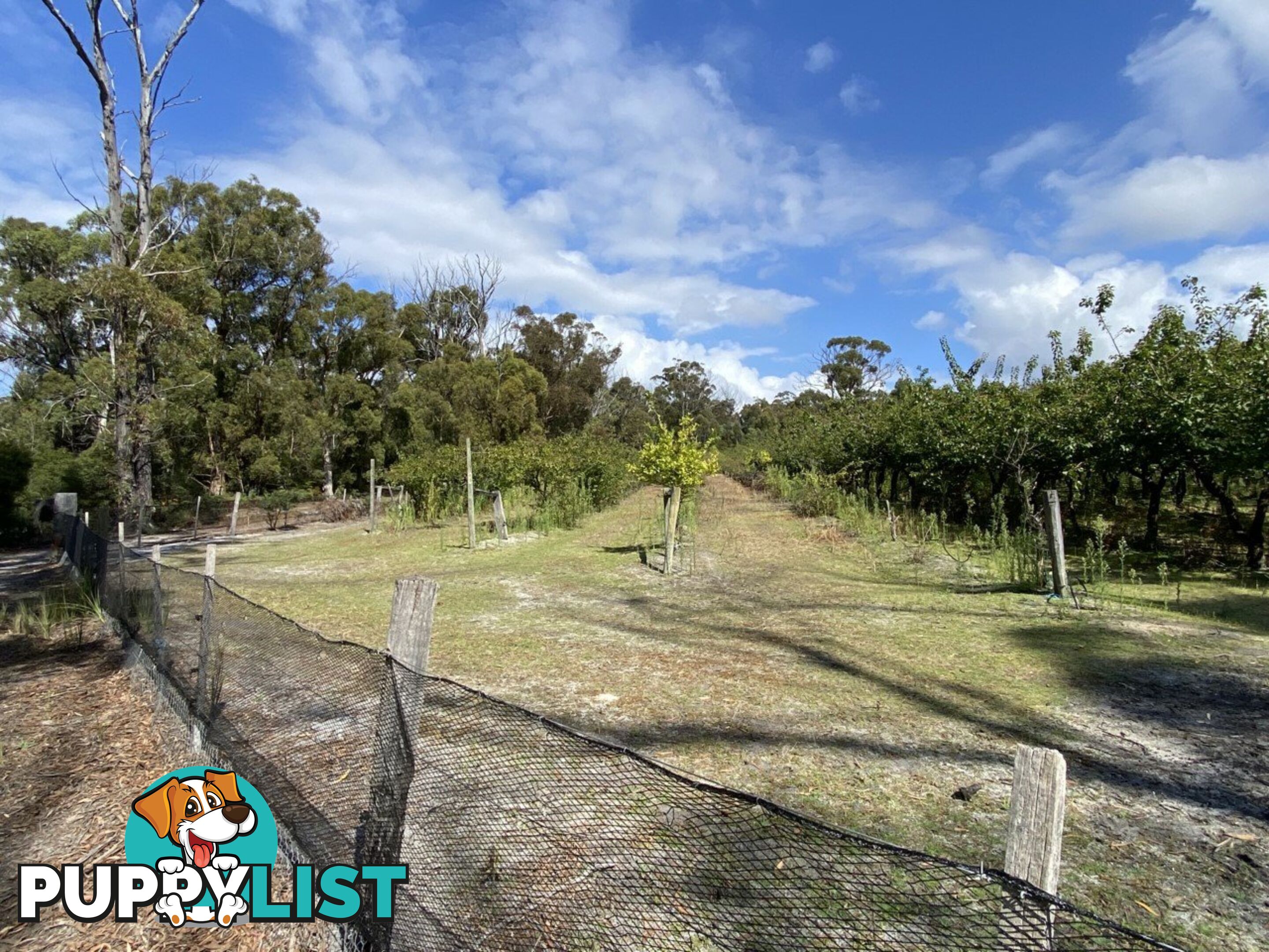 26754/5 Tasman Highway SCAMANDER TAS 7215