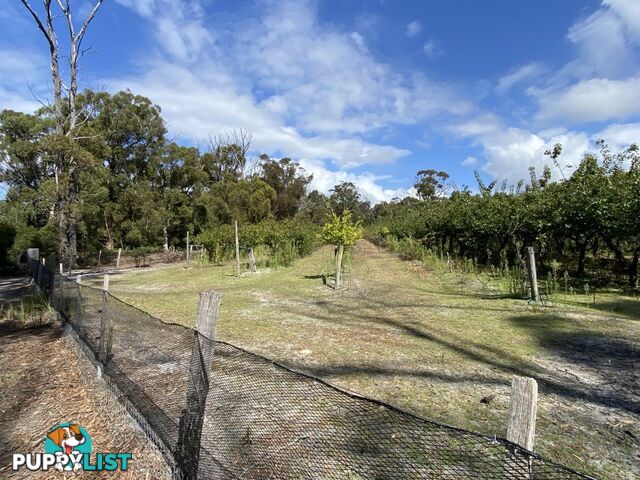26754/5 Tasman Highway SCAMANDER TAS 7215