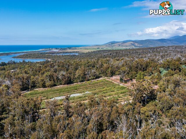 26754/5 Tasman Highway SCAMANDER TAS 7215