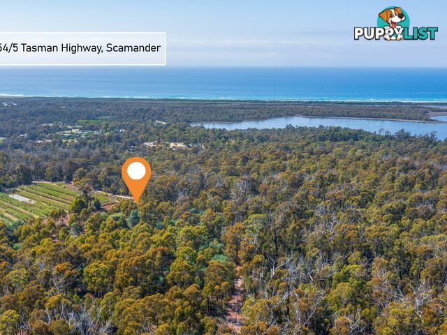 26754/5 Tasman Highway SCAMANDER TAS 7215
