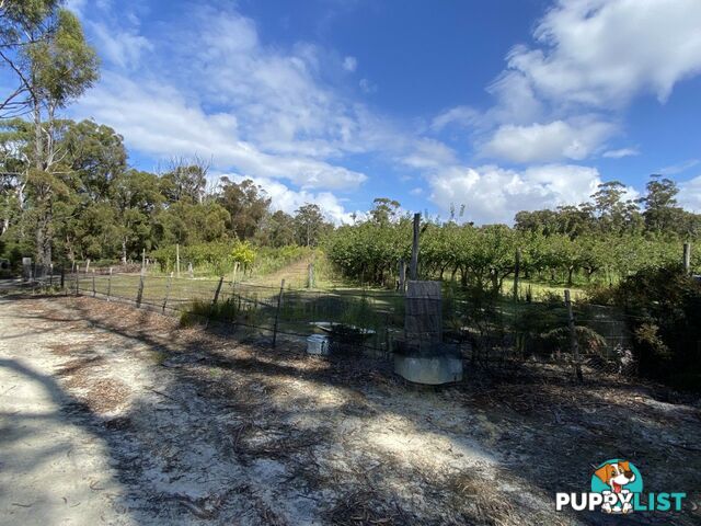 26754/5 Tasman Highway SCAMANDER TAS 7215