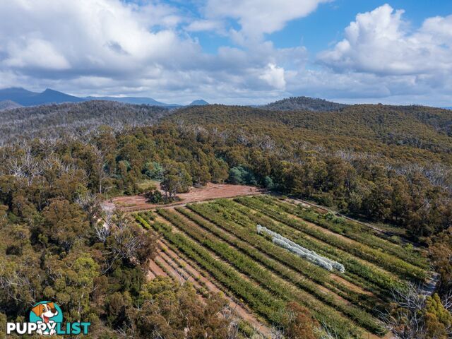 26754/5 Tasman Highway SCAMANDER TAS 7215