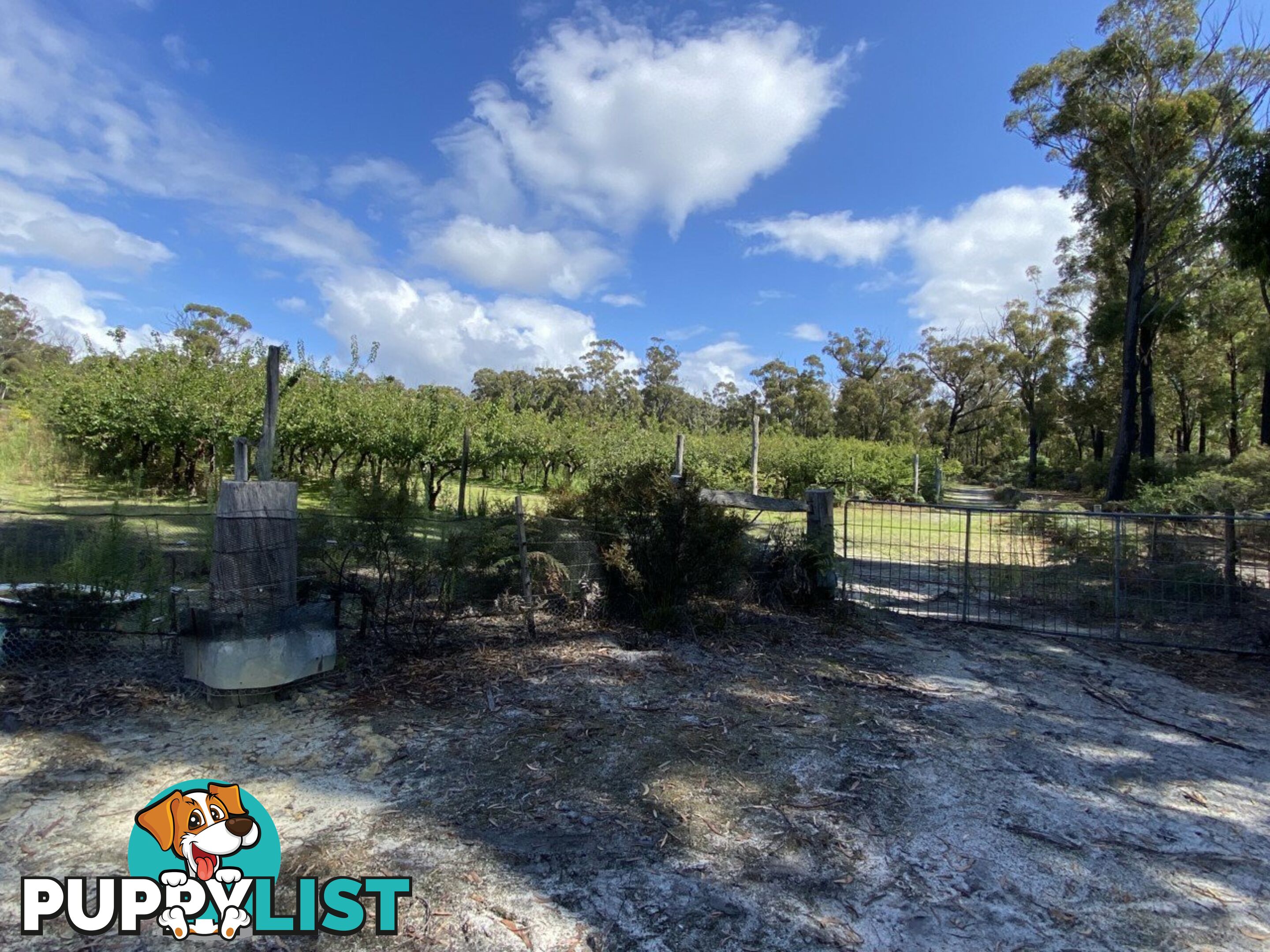 26754/5 Tasman Highway SCAMANDER TAS 7215