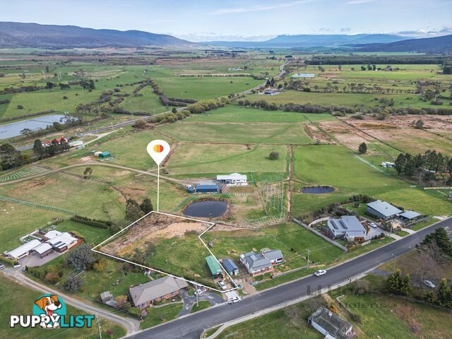 Lot 1/46 Gardiners Creek Road ST MARYS TAS 7215