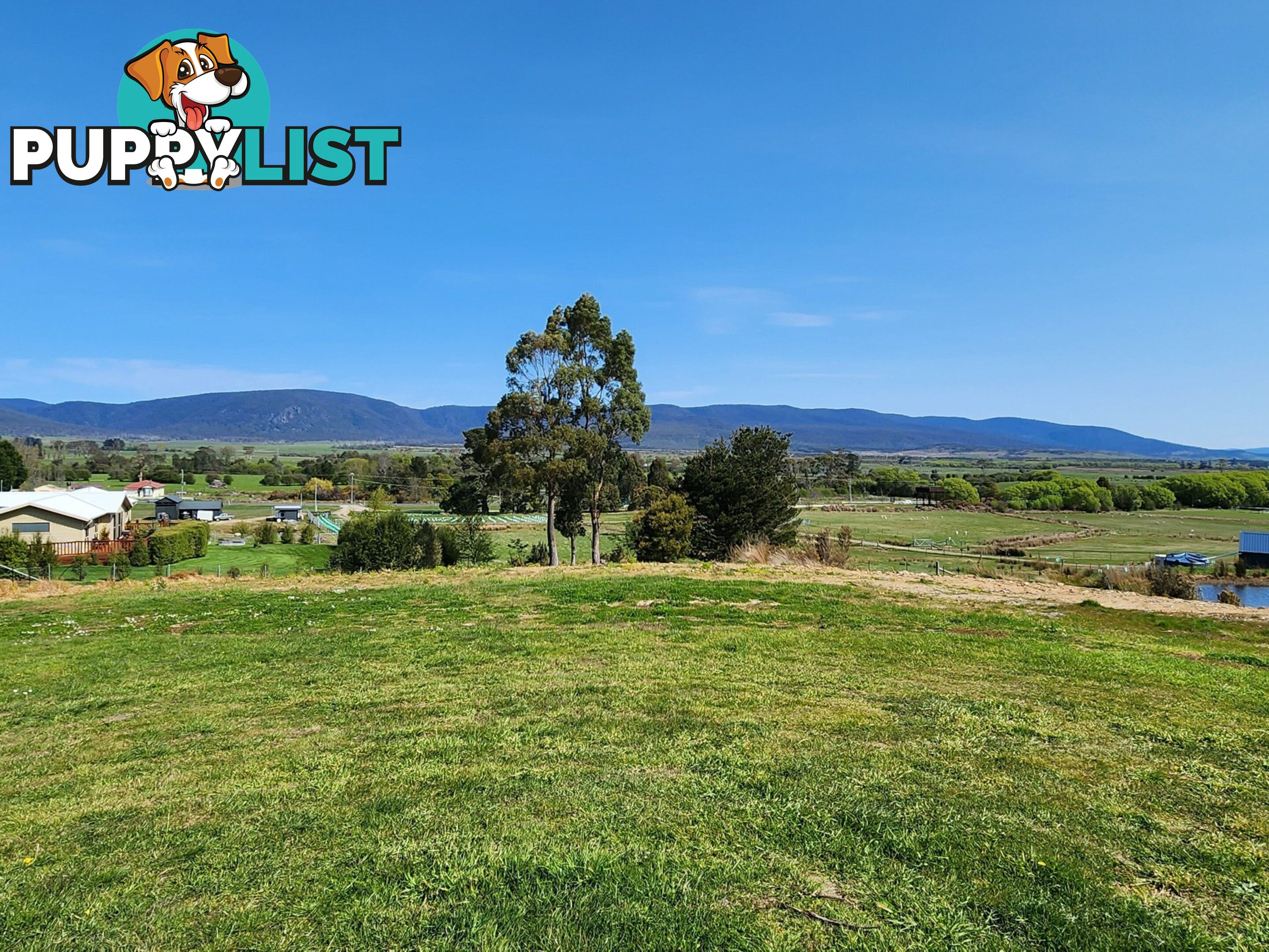 Lot 1/46 Gardiners Creek Road ST MARYS TAS 7215