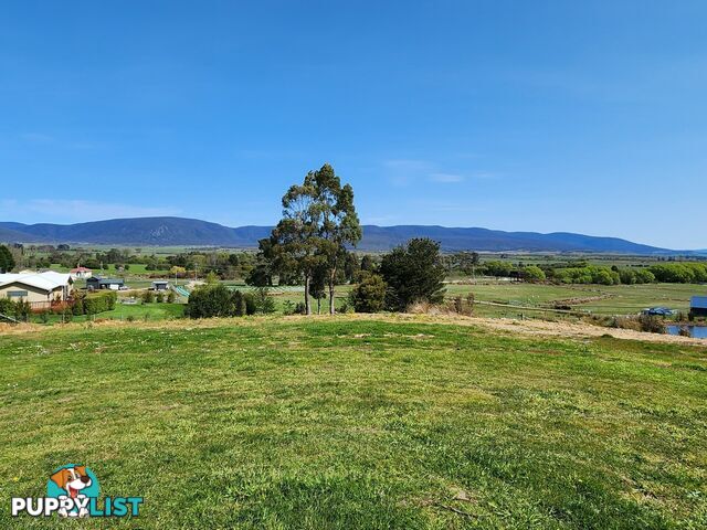 Lot 1/46 Gardiners Creek Road ST MARYS TAS 7215