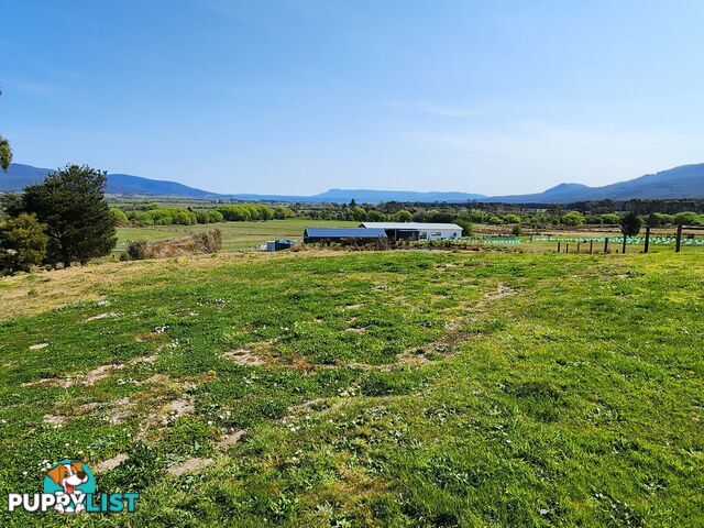 Lot 1/46 Gardiners Creek Road ST MARYS TAS 7215