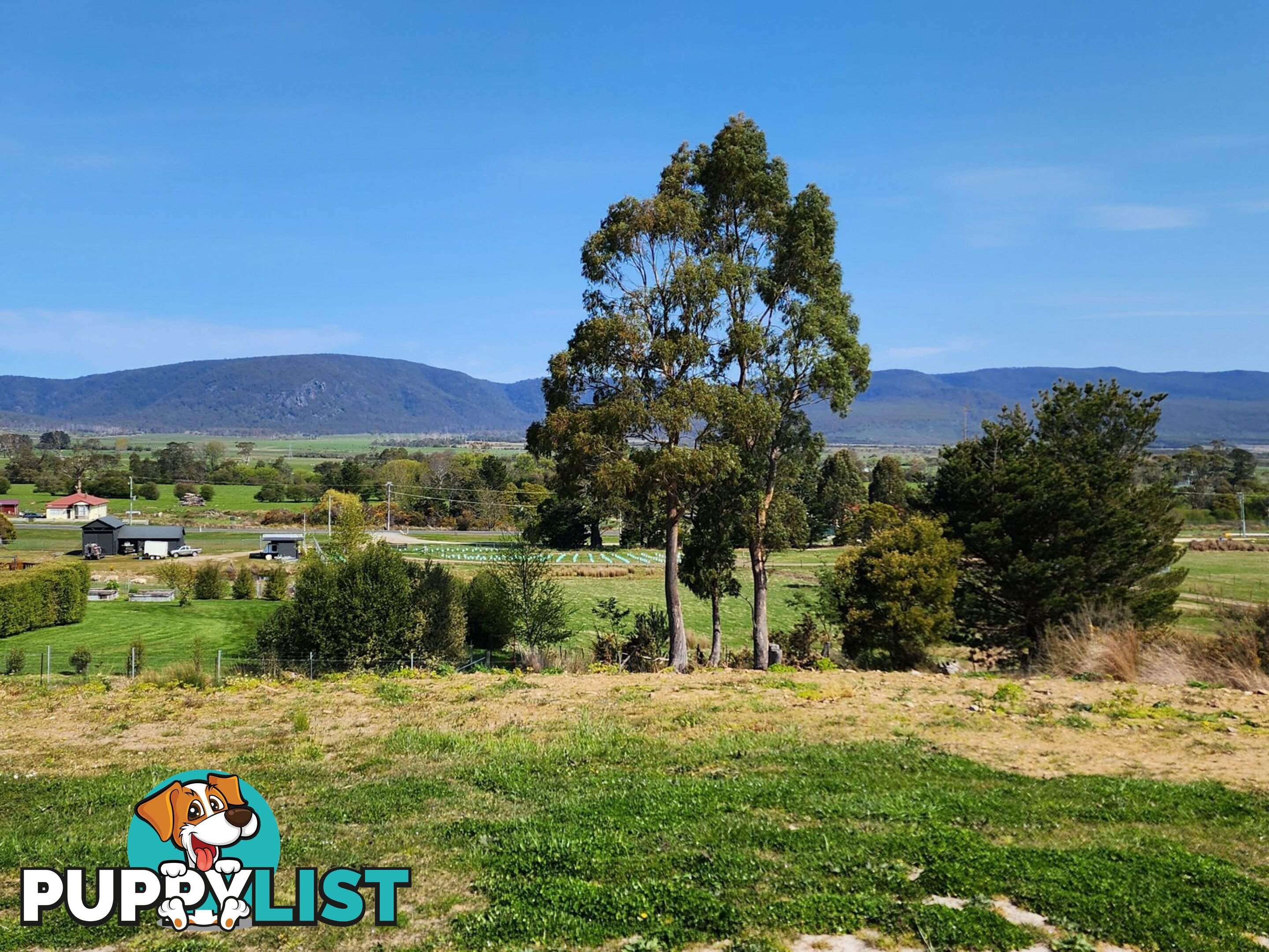 Lot 1/46 Gardiners Creek Road ST MARYS TAS 7215