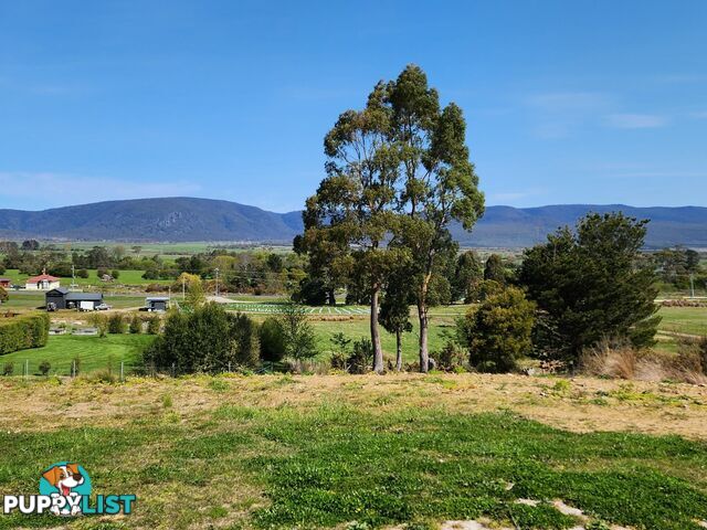 Lot 1/46 Gardiners Creek Road ST MARYS TAS 7215