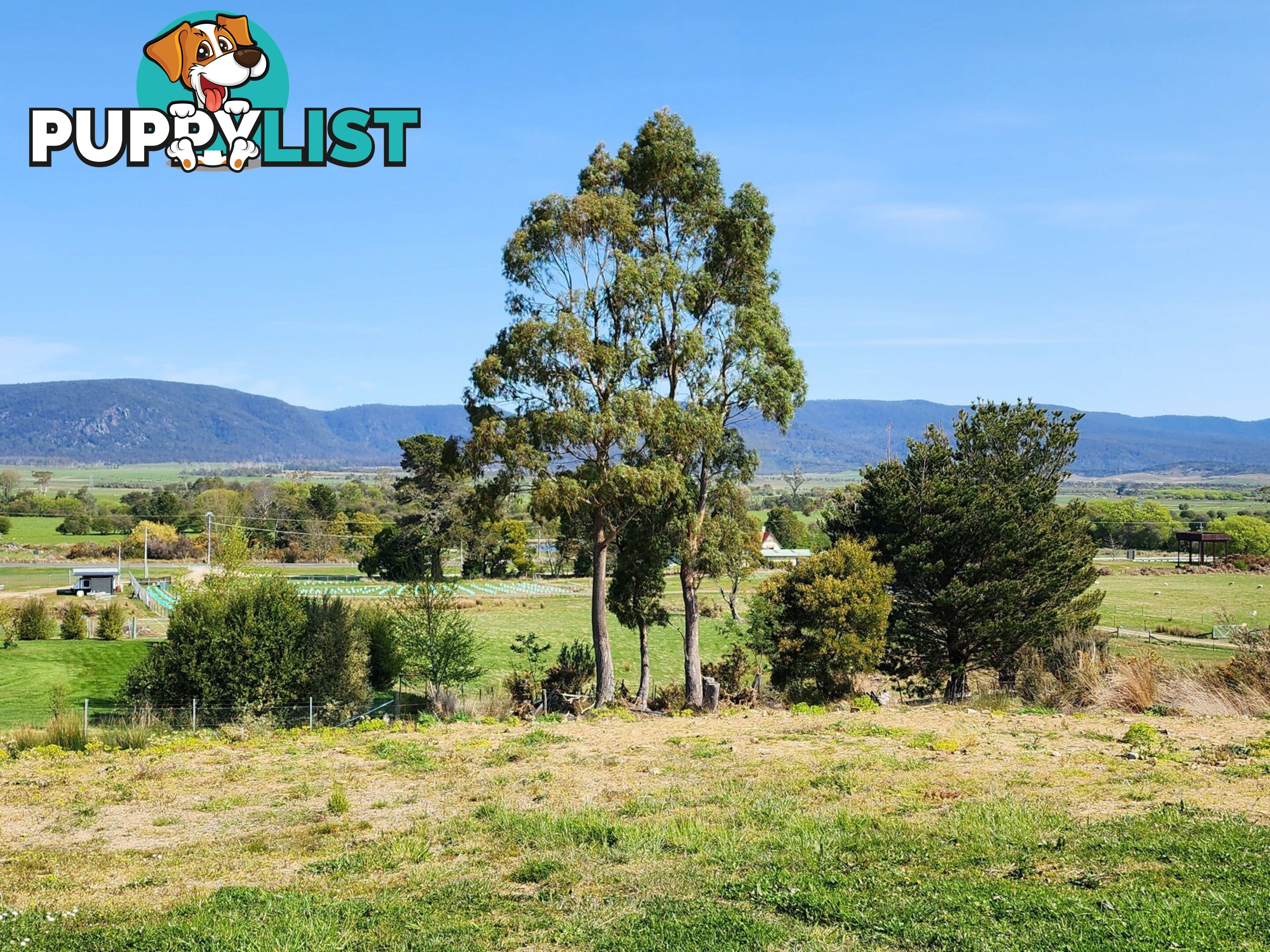 Lot 1/46 Gardiners Creek Road ST MARYS TAS 7215