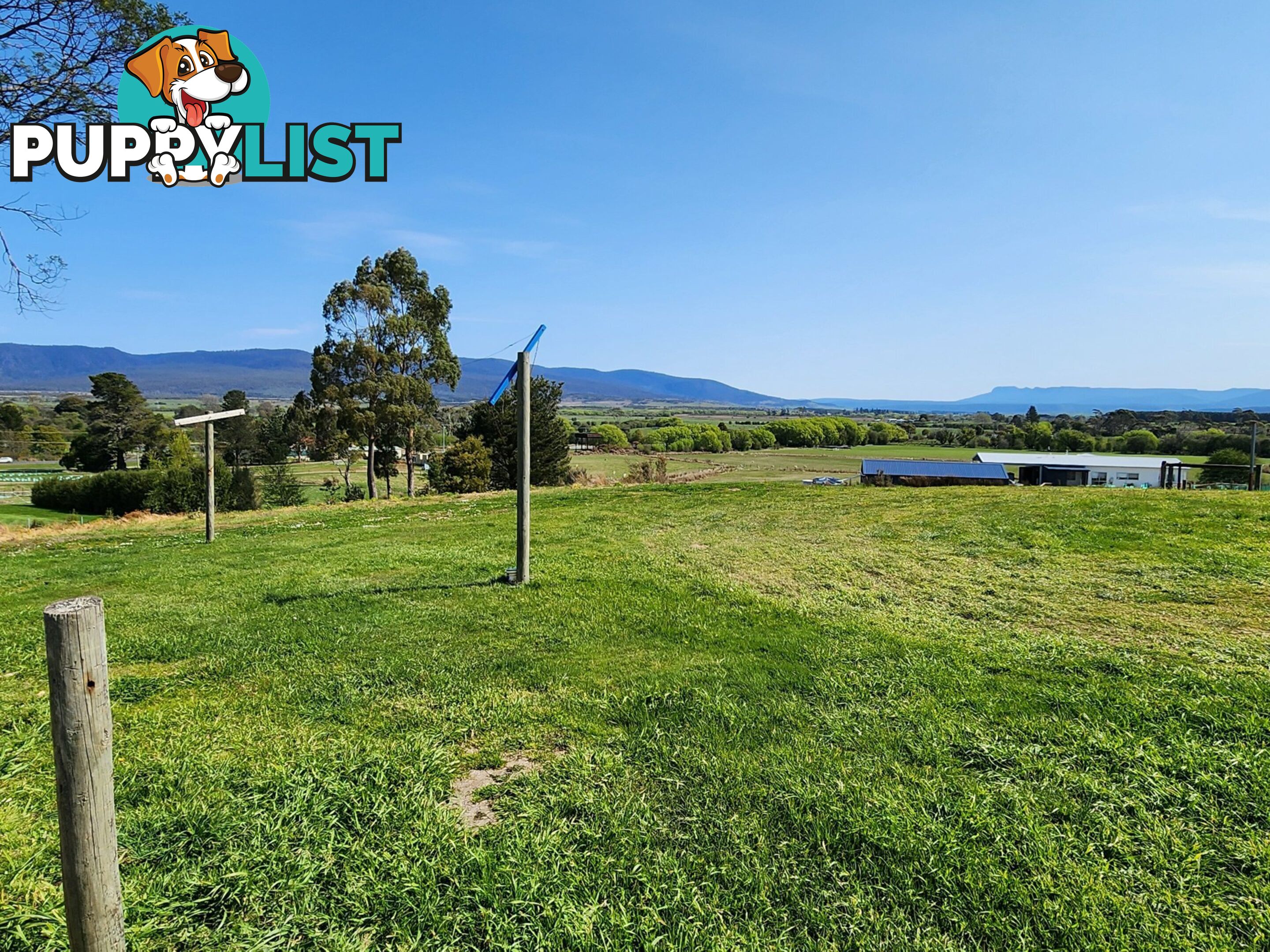 Lot 1/46 Gardiners Creek Road ST MARYS TAS 7215