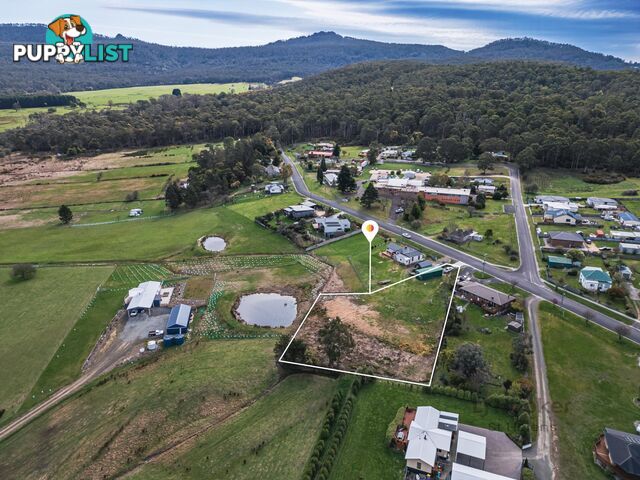 Lot 1/46 Gardiners Creek Road ST MARYS TAS 7215