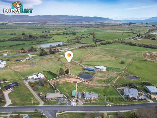 Lot 1/46 Gardiners Creek Road ST MARYS TAS 7215