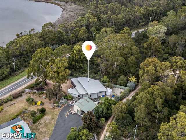 23239 Tasman Highway SCAMANDER TAS 7215