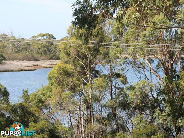 23239 Tasman Highway SCAMANDER TAS 7215