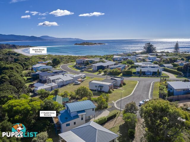 17 Redbill Drive BICHENO TAS 7215