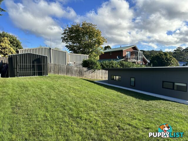 11 Penelope Street ST HELENS TAS 7216