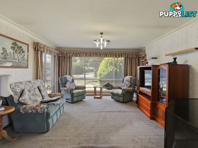 21 Tully Street ST HELENS TAS 7216