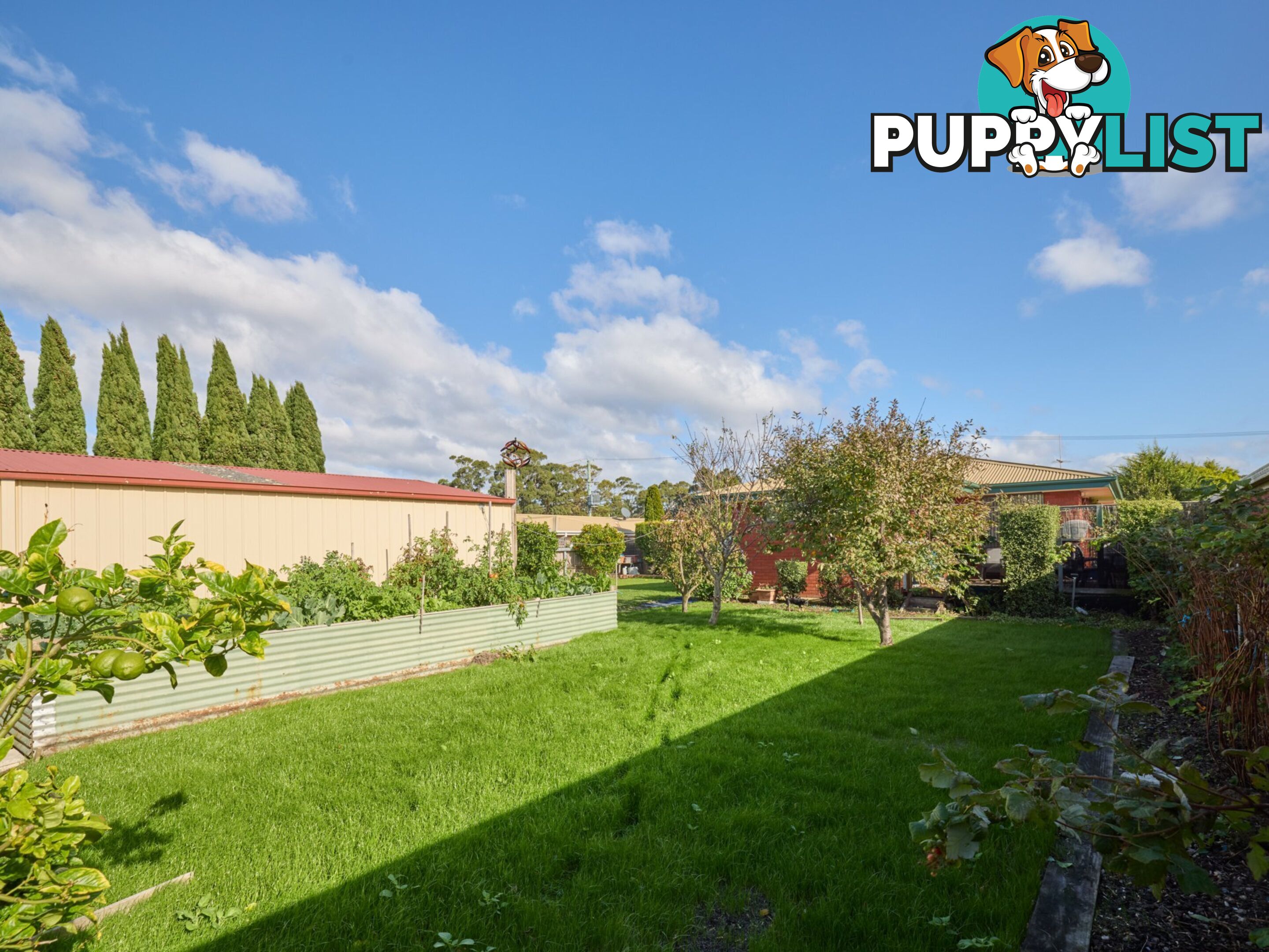 8 Groom Street ST HELENS TAS 7216