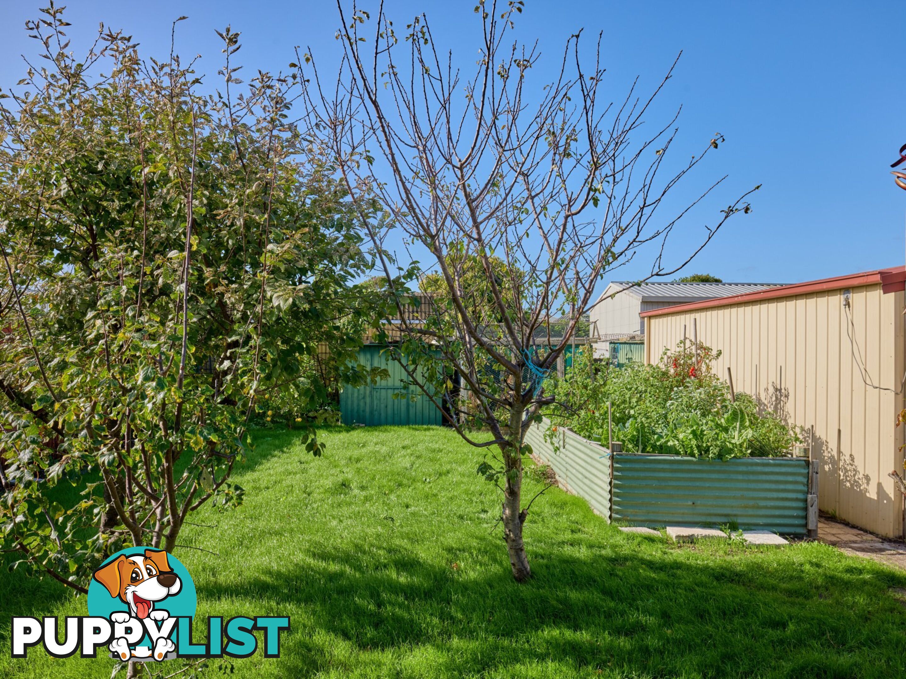 8 Groom Street ST HELENS TAS 7216