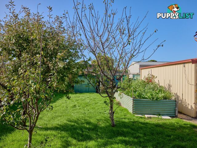 8 Groom Street ST HELENS TAS 7216