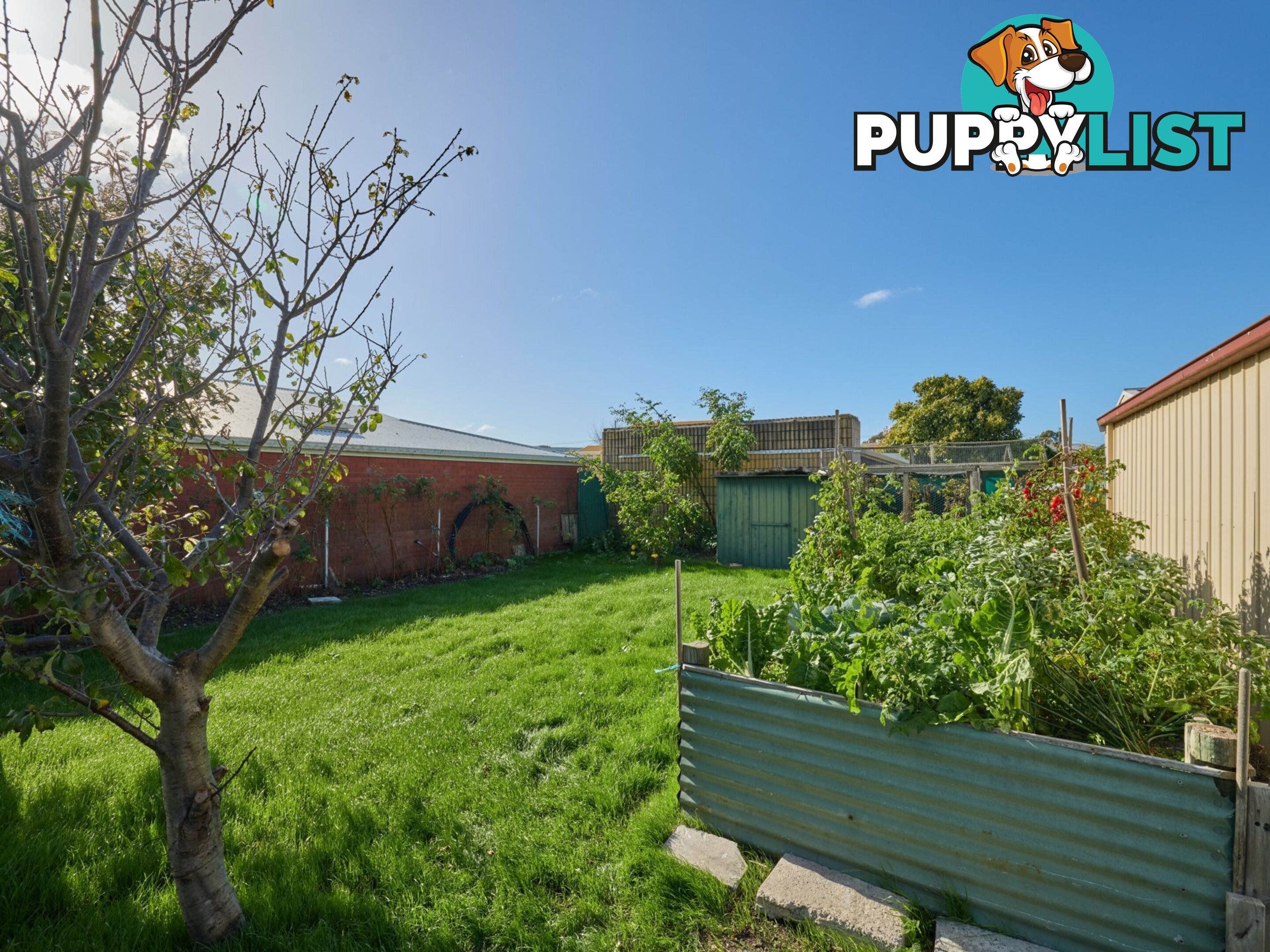 8 Groom Street ST HELENS TAS 7216