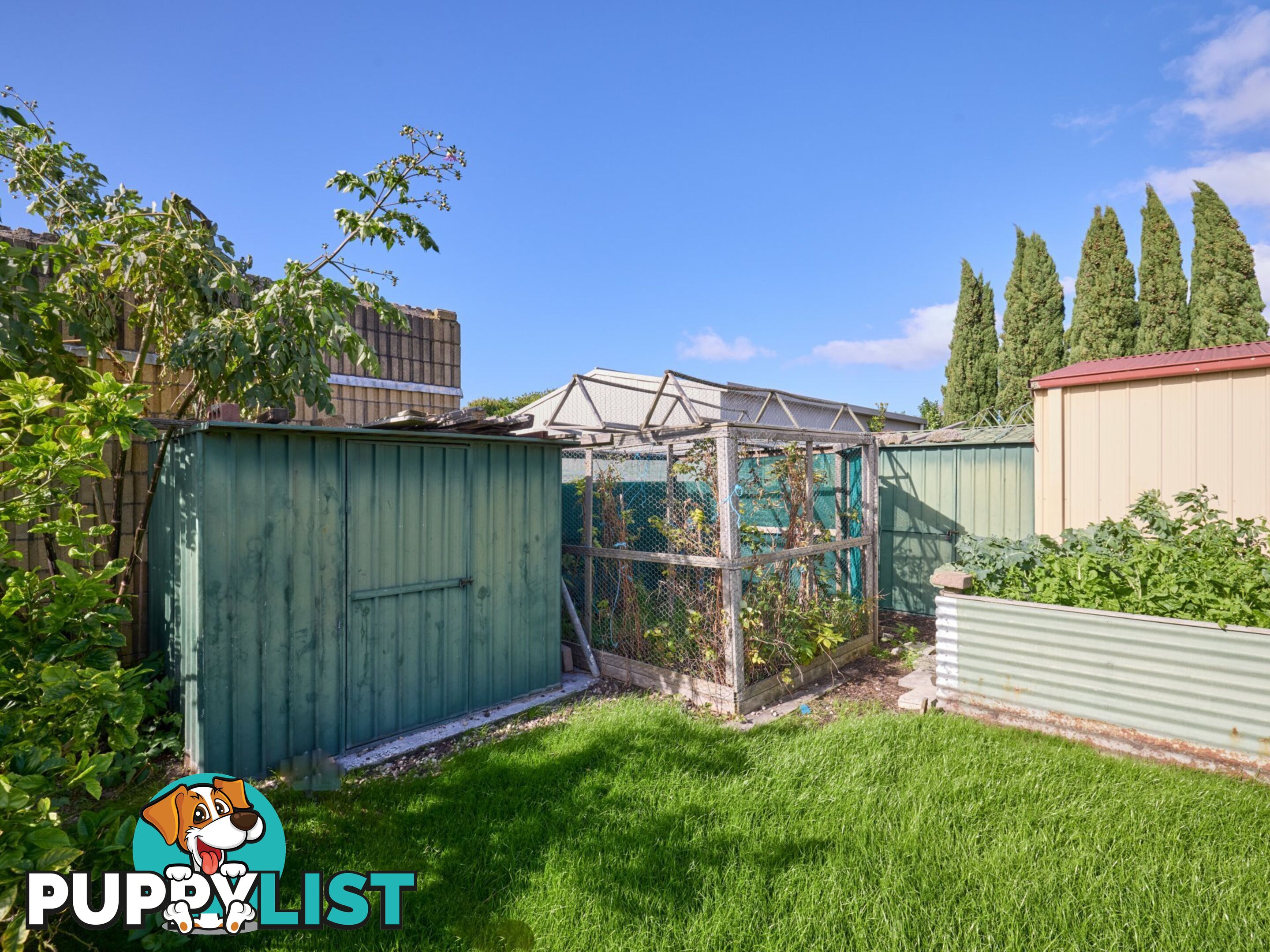 8 Groom Street ST HELENS TAS 7216