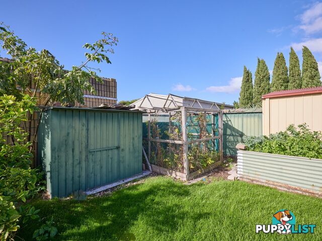 8 Groom Street ST HELENS TAS 7216