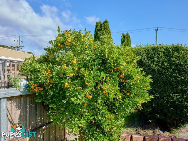 8 Groom Street ST HELENS TAS 7216