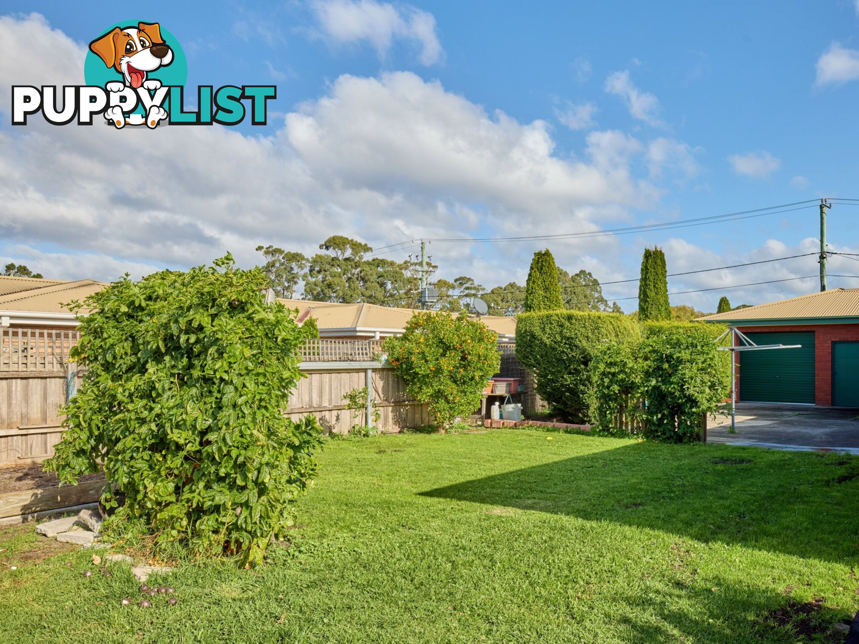 8 Groom Street ST HELENS TAS 7216
