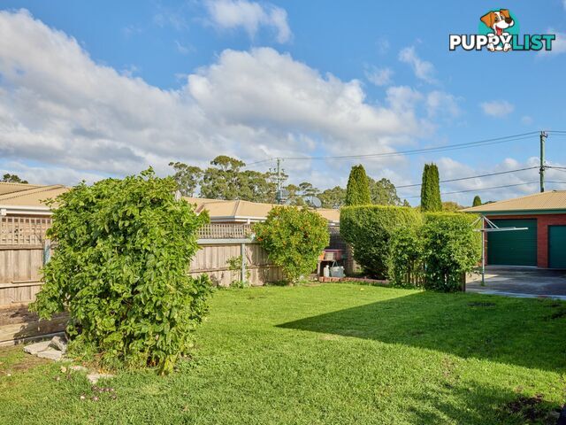 8 Groom Street ST HELENS TAS 7216