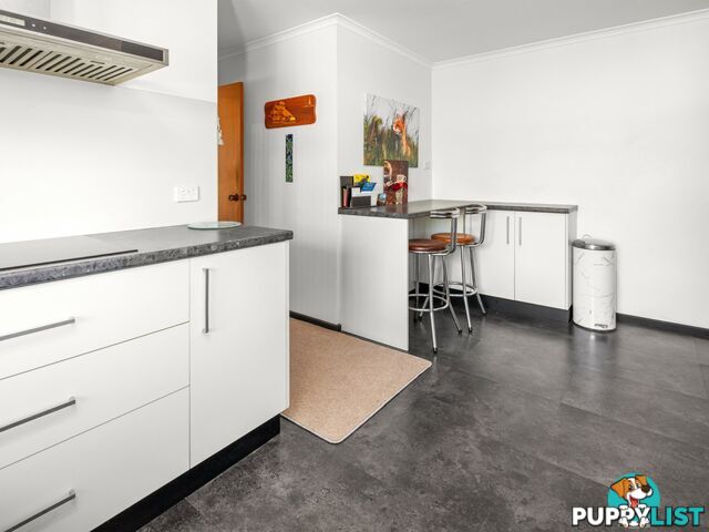 8 Groom Street ST HELENS TAS 7216