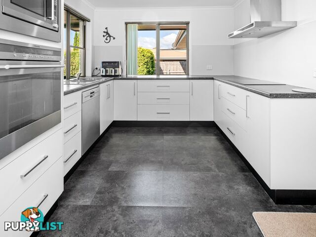 8 Groom Street ST HELENS TAS 7216