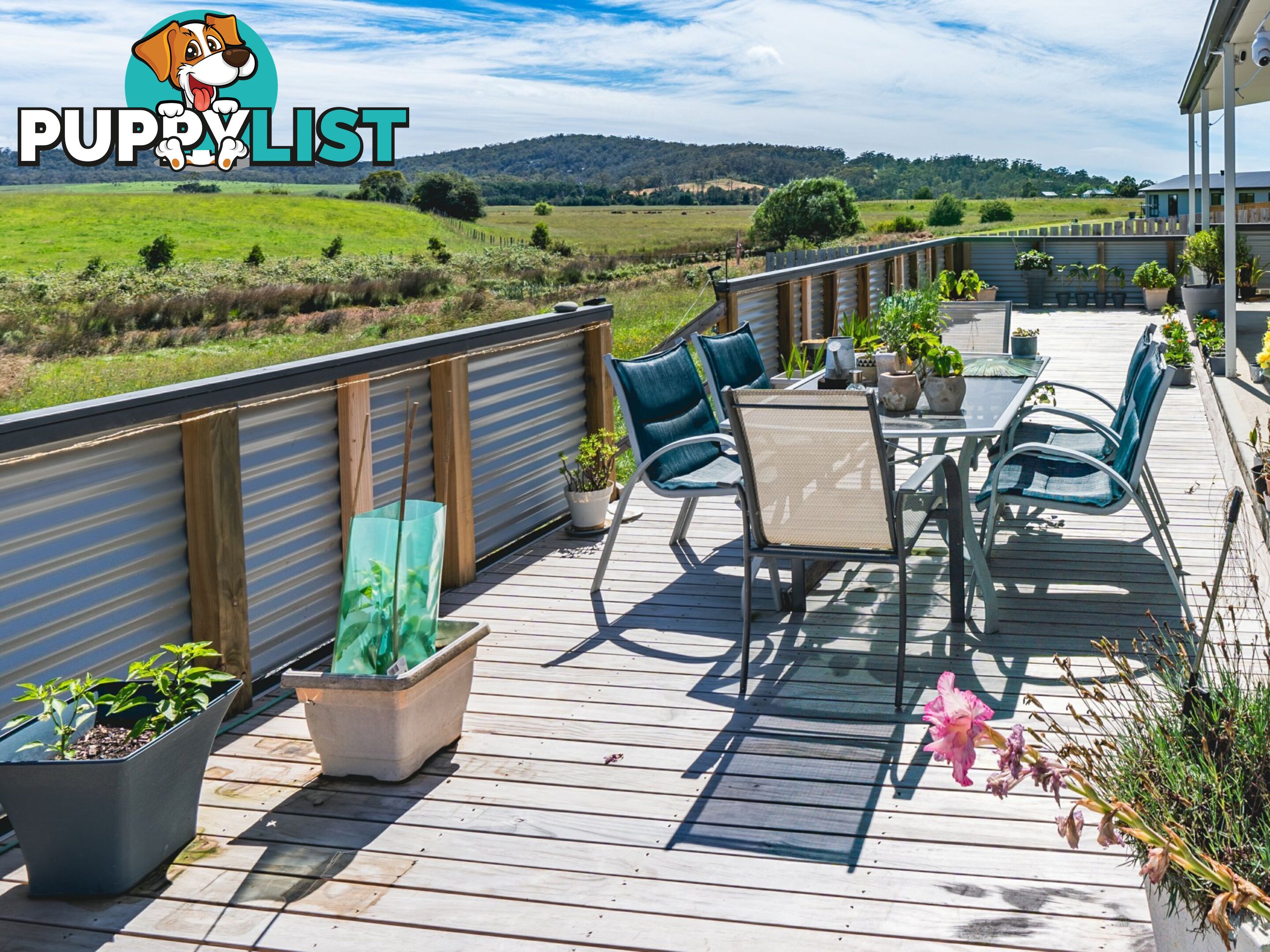 13 Annabel Drive ST HELENS TAS 7216