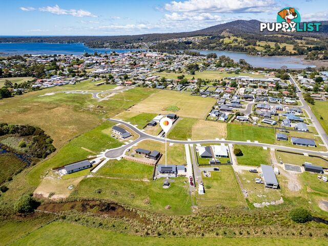 13 Annabel Drive ST HELENS TAS 7216
