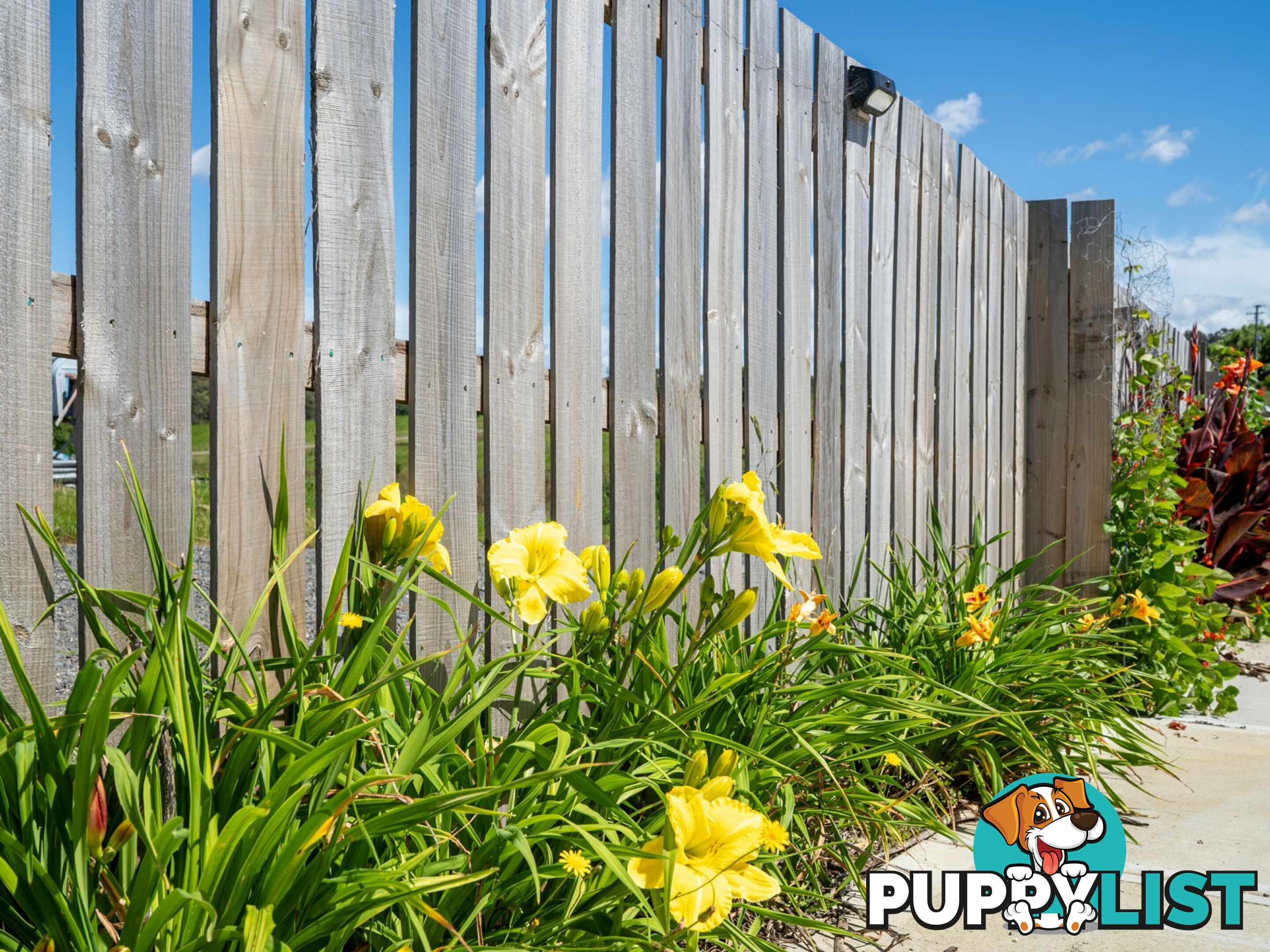 13 Annabel Drive ST HELENS TAS 7216