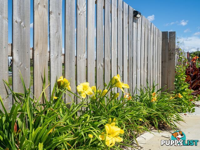 13 Annabel Drive ST HELENS TAS 7216
