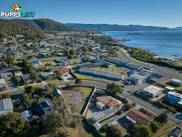 6 Beattie Avenue BICHENO TAS 7215