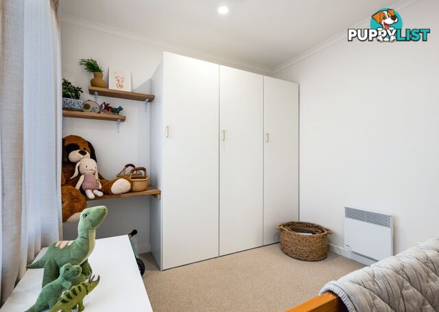 11 Medea Street ST HELENS TAS 7216