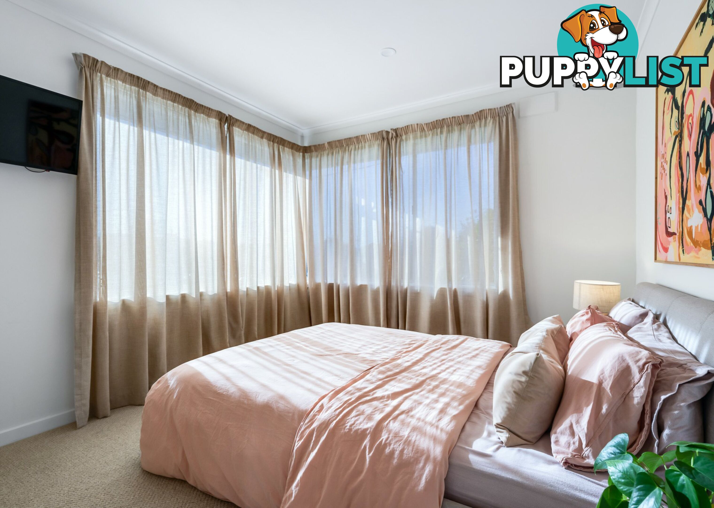 11 Medea Street ST HELENS TAS 7216