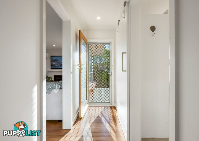 11 Medea Street ST HELENS TAS 7216