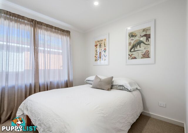 11 Medea Street ST HELENS TAS 7216